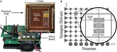 Demonstrating Advantages of Neuromorphic Computation: A Pilot Study